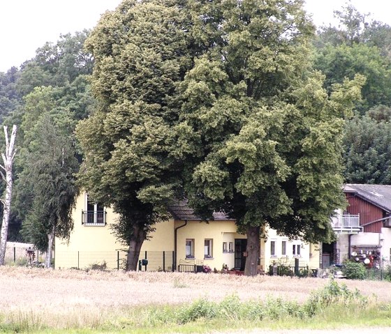 Haus mit Baum