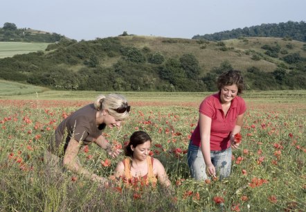 Nette-Schieferpfad - Naturschutzgebiet Nettetal, © Traumpfade