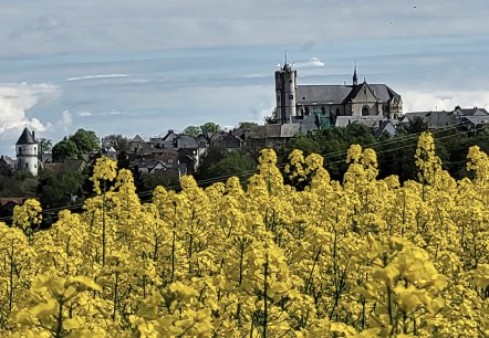 Blühende Rapsfelder rund um  Münstermaifeld