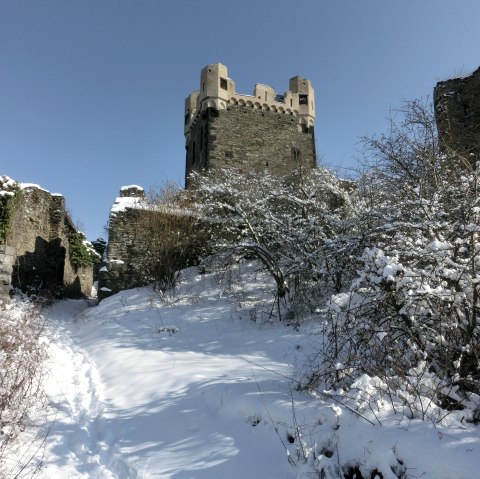 Burg Wernerseck