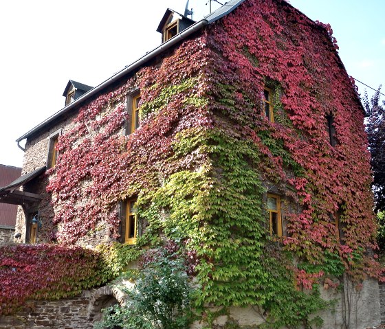 Herbstschmuck, © Willi Probstfeld