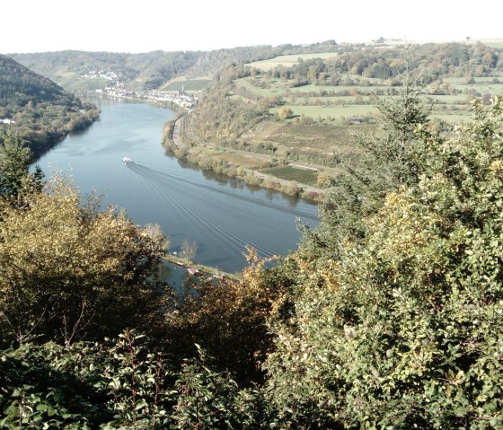 Mosel