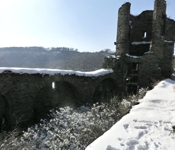 Burg Wernerseck Winter