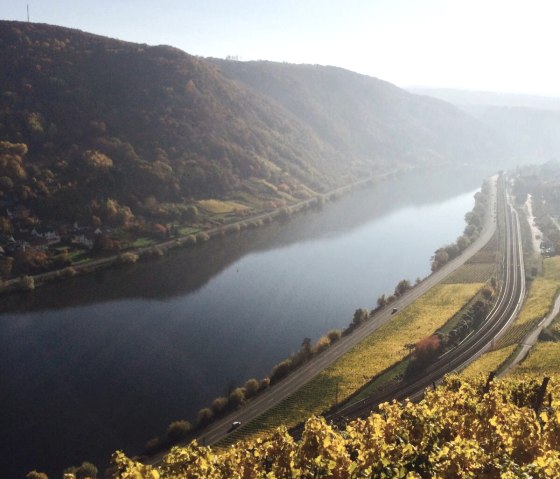 Die Mosel im Herbst