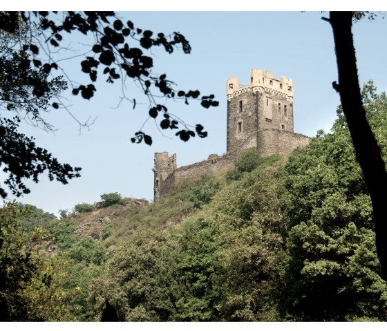 Blick auf burg Wernerseck