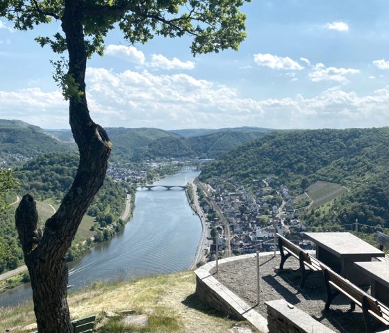 Vallée de la Moselle - Point de vue du Kompuskopf