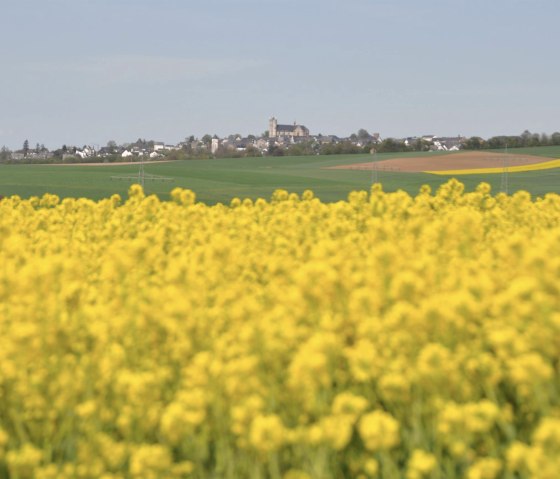 Vom Ortsrand Richtung Münstermaifeld