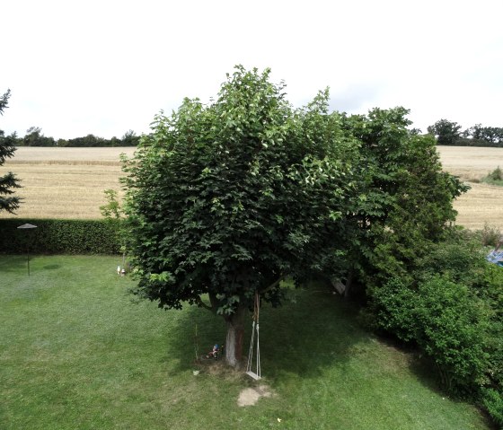 Vue sur le jardin