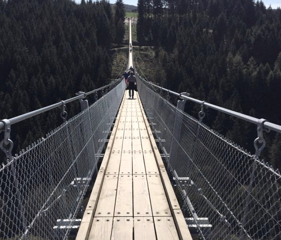 Hängeseilbrücke Mörsdorf