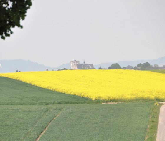 Blick nach Münstermaifeld vom einem Traumpfad