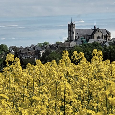 Blühende Rapsfelder rund um  Münstermaifeld