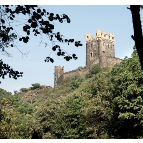 Vue sur le château de Wernerseck