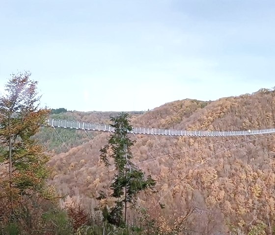 Hängeseilbrücke Geierlay