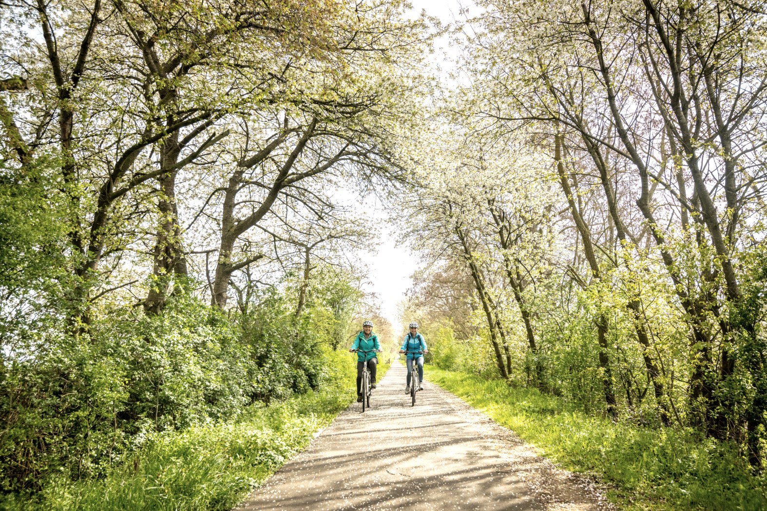 Maifeld-Radweg im Frühling, © Eifel Tourismus GmbH, Dominik Ketz