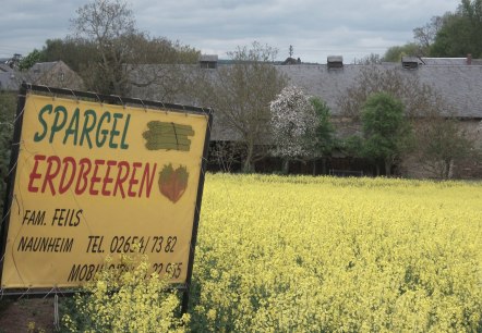 Schild Hofverkauf, © VG Maifeld