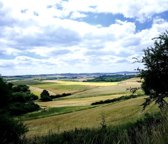 Das schöne Maifeld