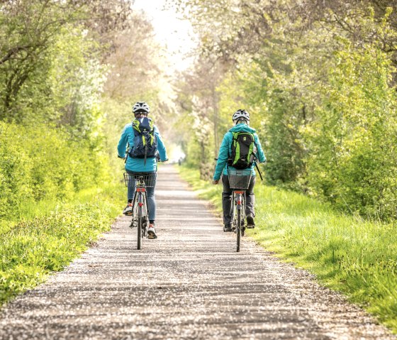 Maifeld-Radweg, © Eifel Tourismus GmbH, Dominik Ketz