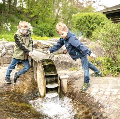 Wasserspielplatz, © Eifel Tourismus GmbH, Dominik Ketz