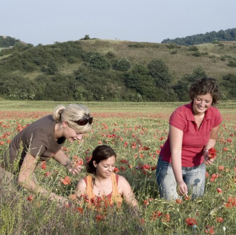 Nette-Schieferpfad - Naturschutzgebiet Nettetal, © Traumpfade