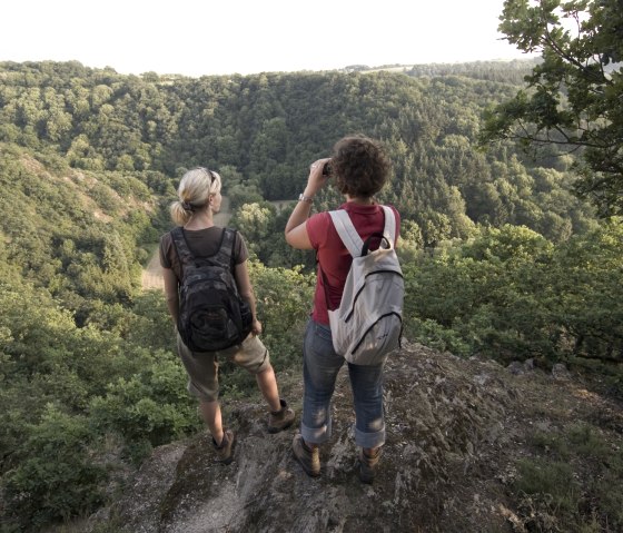 Nette-Schieferpfad - Trimbser Schweiz, © Traumpfad