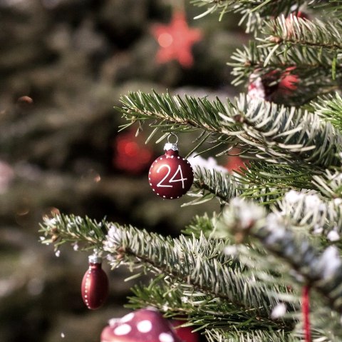 Weihnachtsmarkt